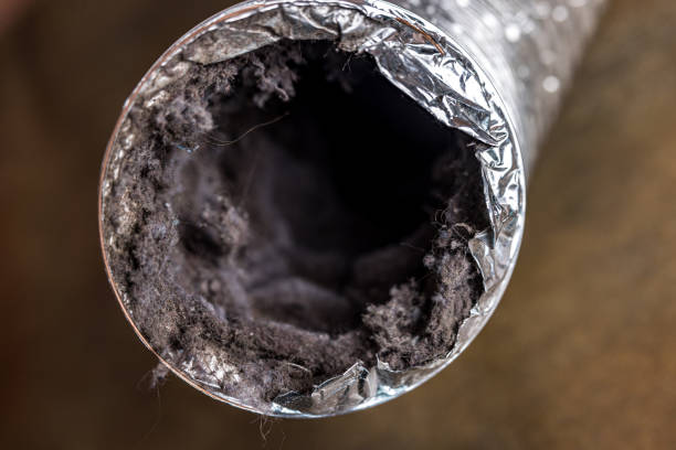 Best Air Duct Cleaning Company Near Me  in Fabrica, TX